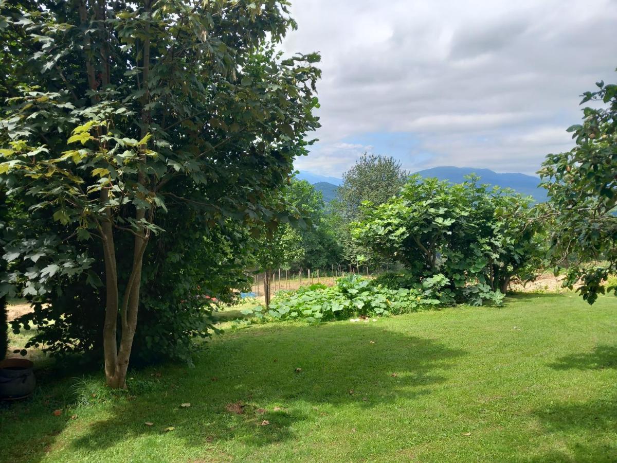 Вилла Maisonnette A La Campagne Ariege Сен-Жирон Экстерьер фото
